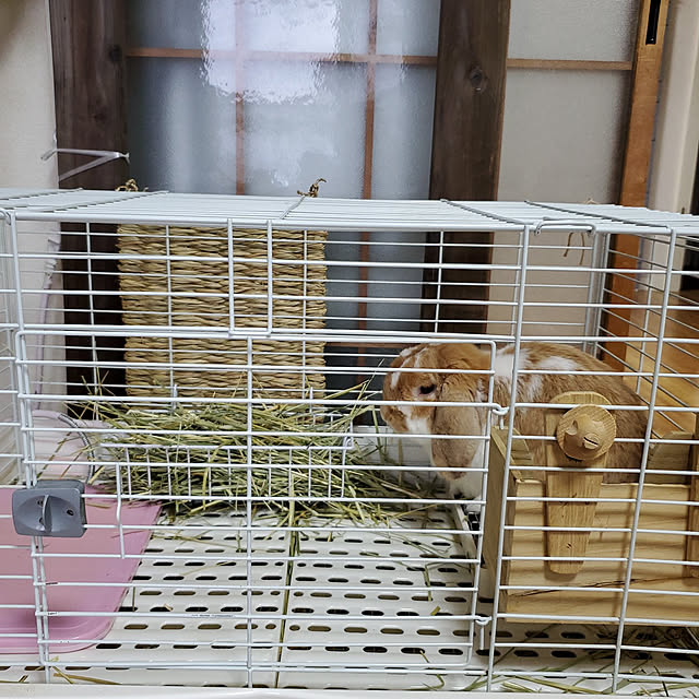 m_geneさんの実例写真