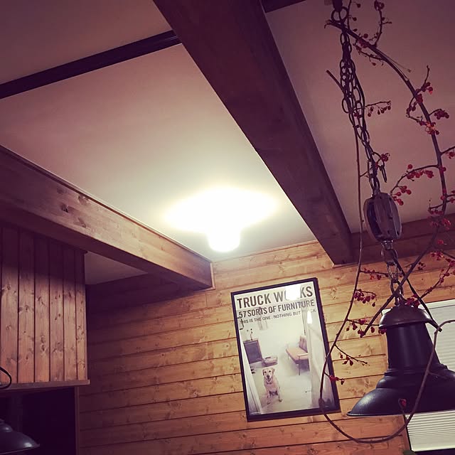 soraさんの実例写真
