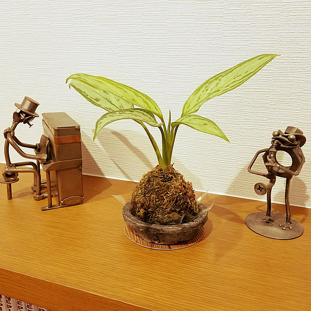 実例写真