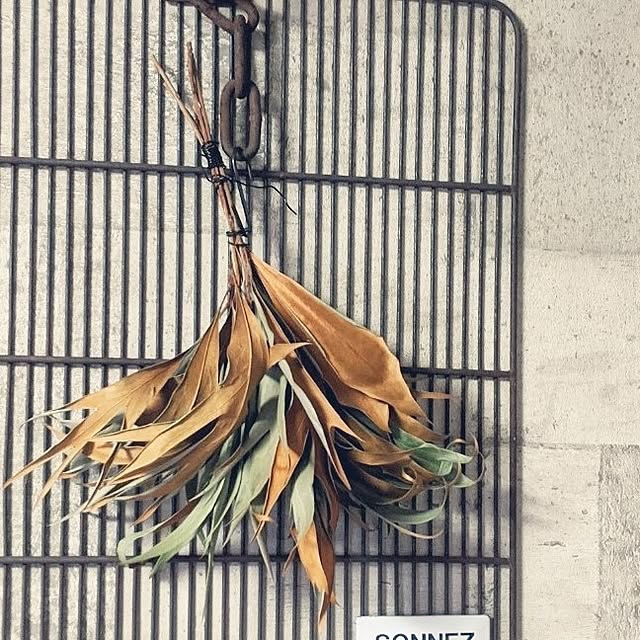 11wksさんの部屋