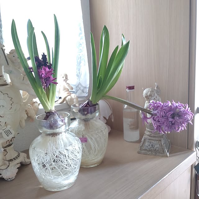 Bienvenueさんの実例写真