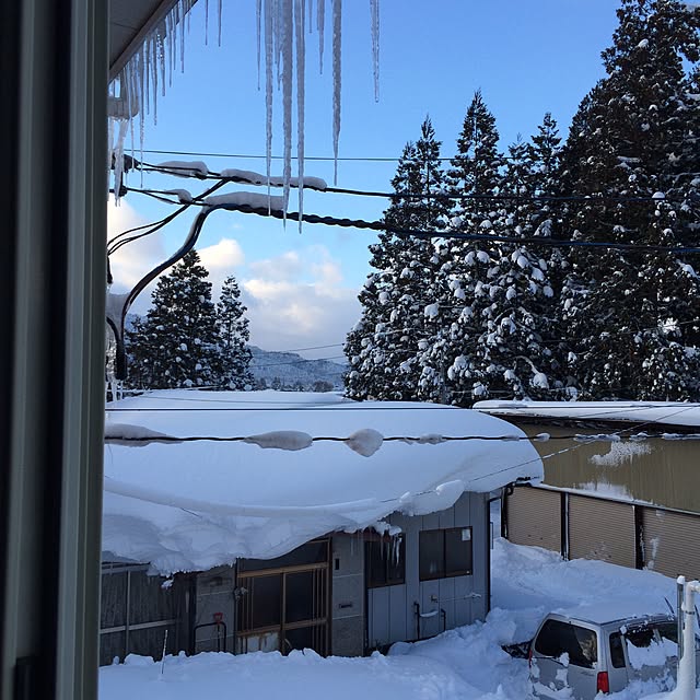 Chamさんの実例写真
