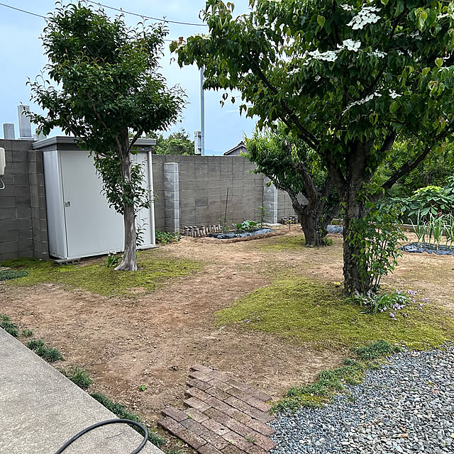 tentenさんの部屋