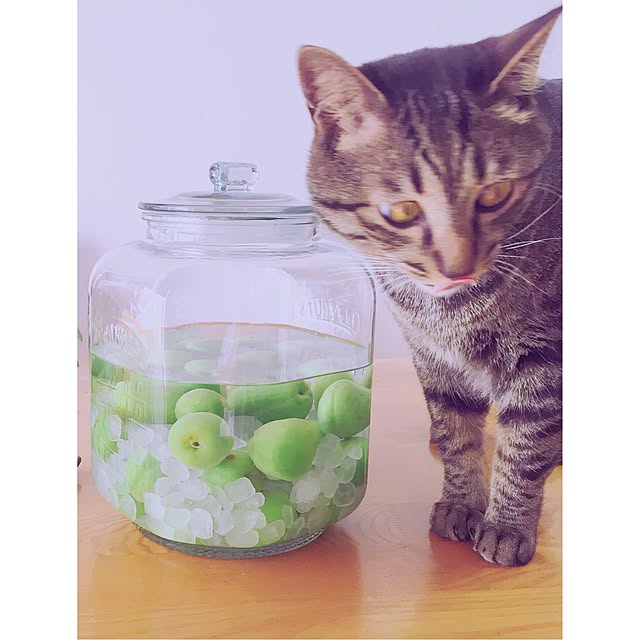 nyan.73さんの実例写真