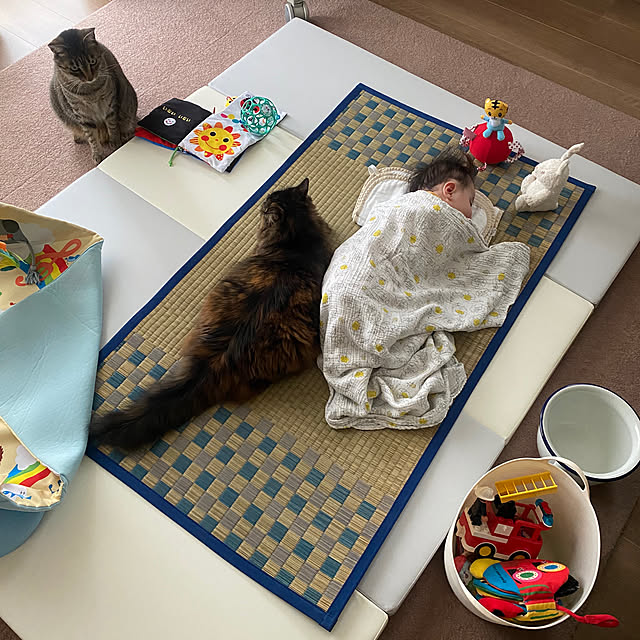 mikomaruさんの実例写真