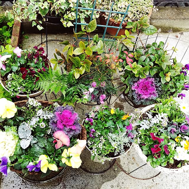 katさんの実例写真