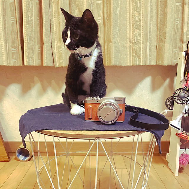 POMERUNさんの実例写真