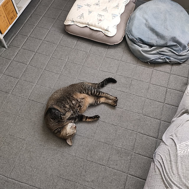 cocomintさんの実例写真