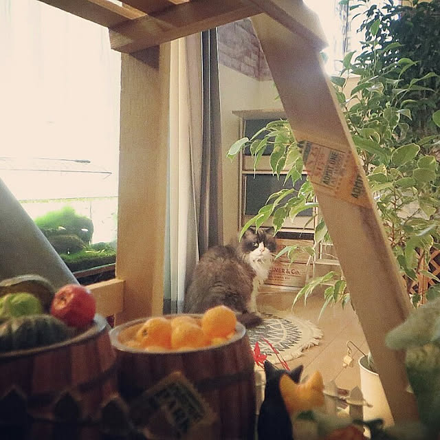 hiroshiさんの実例写真