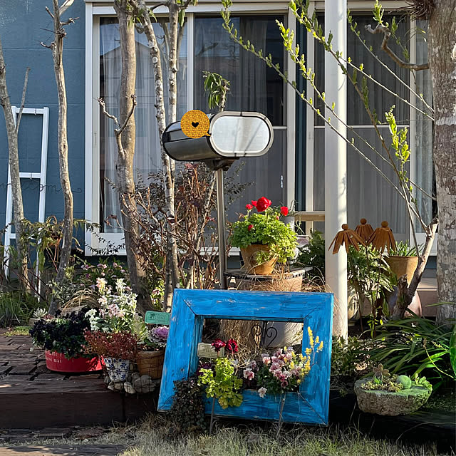 nobikoさんの部屋