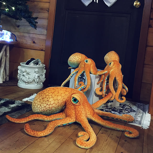 .さんの実例写真