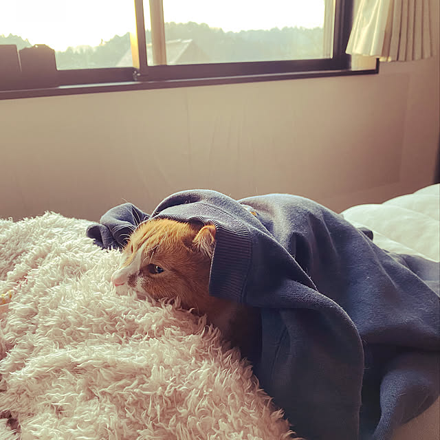MUGIさんの実例写真