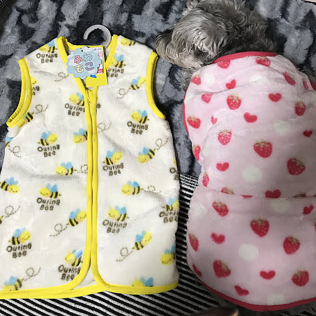 alchoさんの実例写真