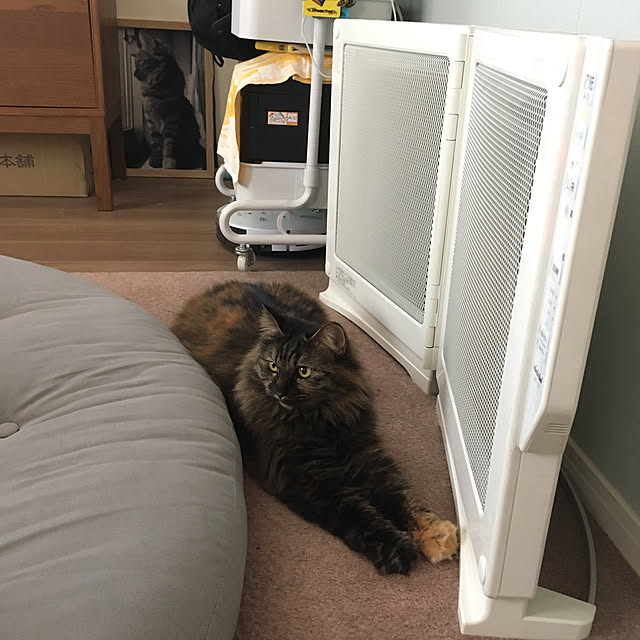 mikomaruさんの実例写真