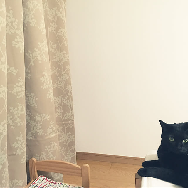 momoさんの実例写真