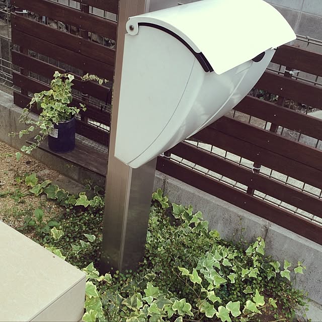 shima5687さんの実例写真