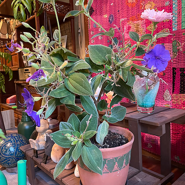 shin0719さんの部屋