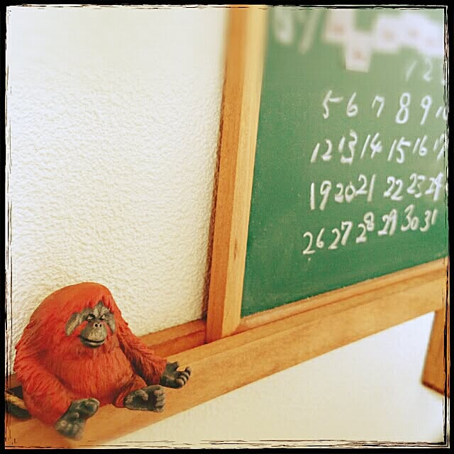 uccaさんの実例写真