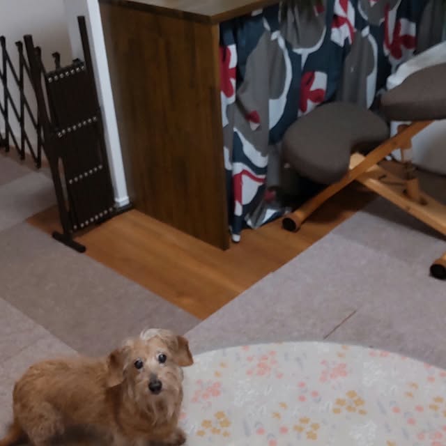 chocococoaさんの部屋