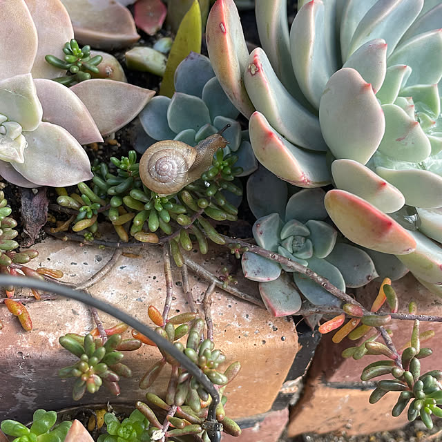 c.cさんの実例写真