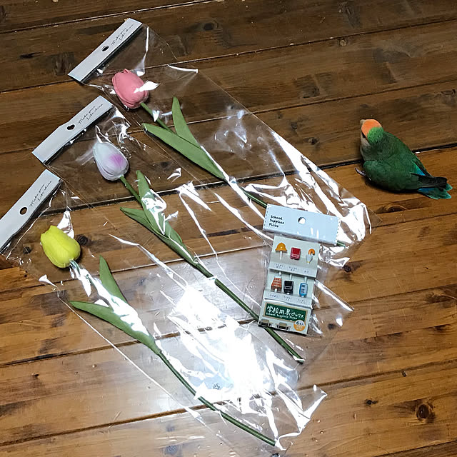 aoinokimiさんの実例写真