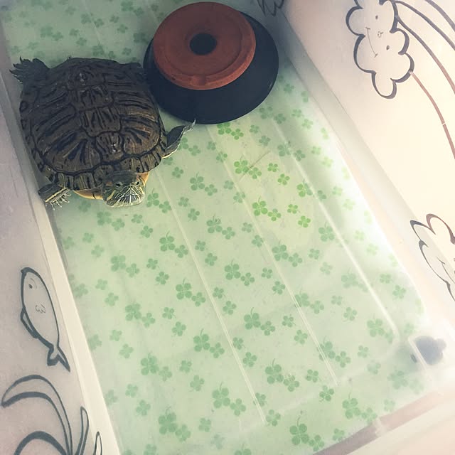 Tomomiさんの実例写真