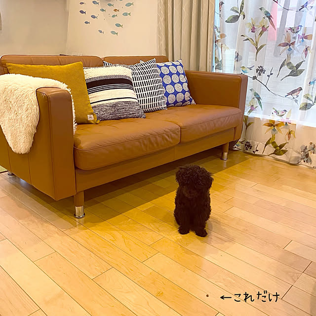 sasaeriさんの実例写真