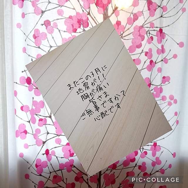 fumitanさんの実例写真