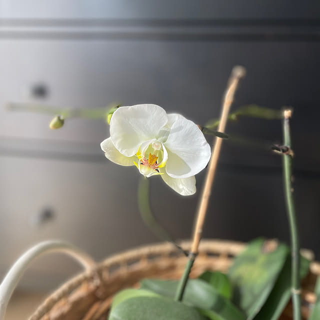 manchanさんの部屋