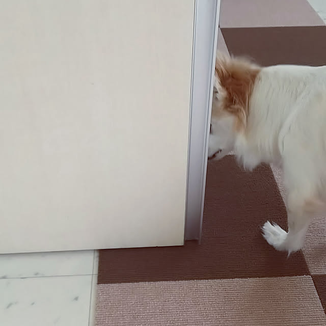 nonさんの実例写真