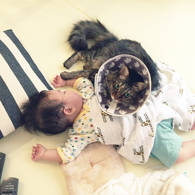 yuki0511さんの実例写真