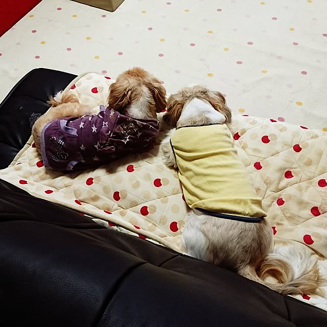 ronさんの実例写真