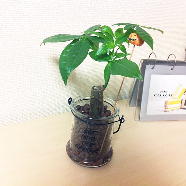 akkaさんの実例写真