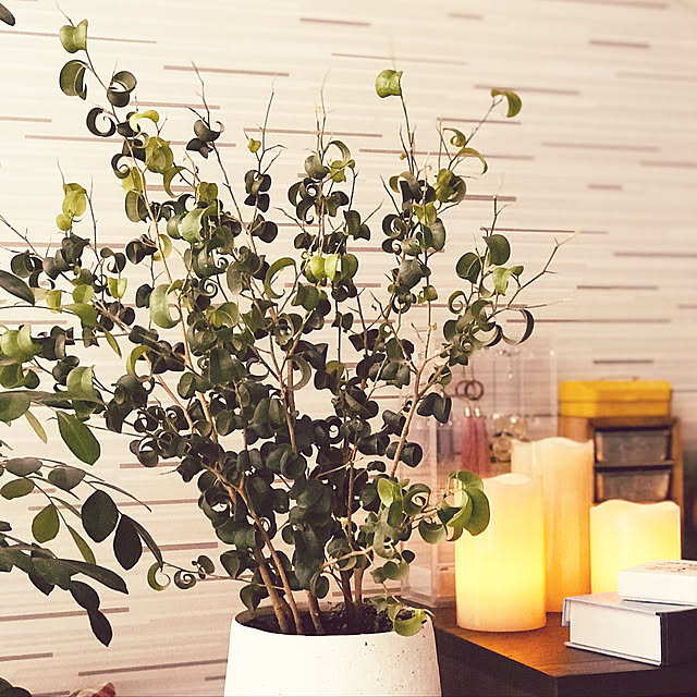 SiiiiNoさんの実例写真