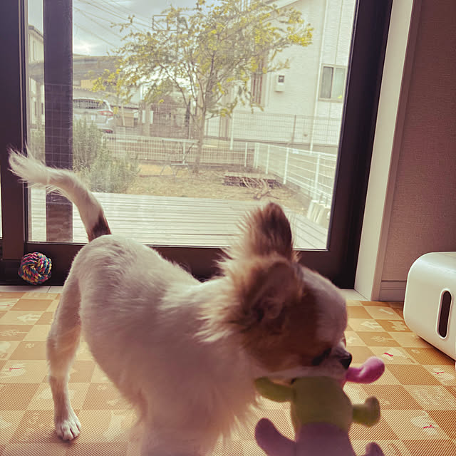 haruharu3さんの部屋