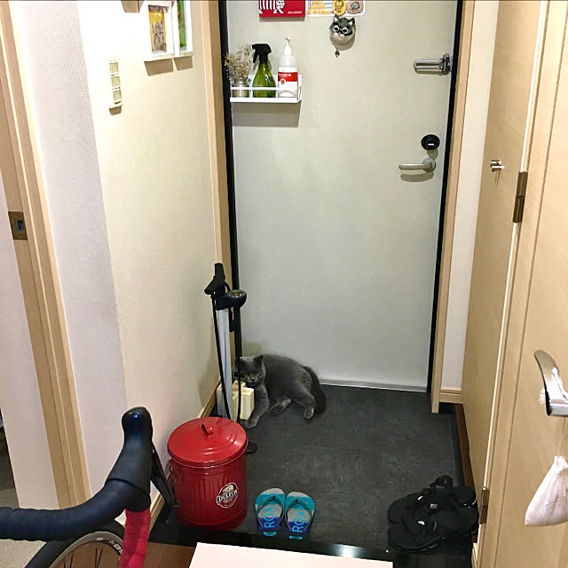 kittyさんの実例写真