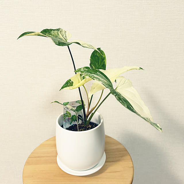 yoyoyoさんの部屋