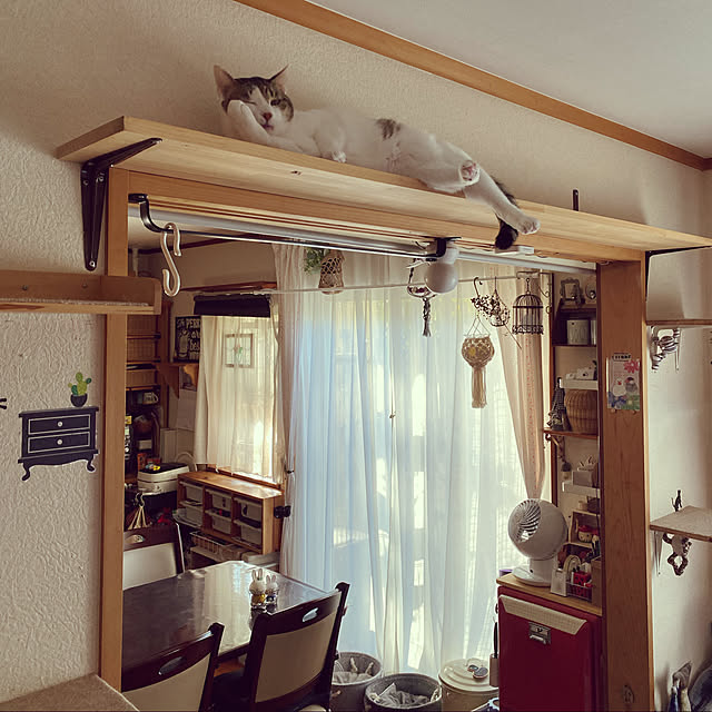 Lufuさんの実例写真