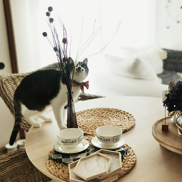 roseroseroseさんの実例写真