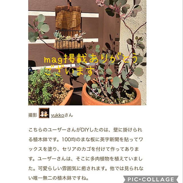 yukkoさんの実例写真