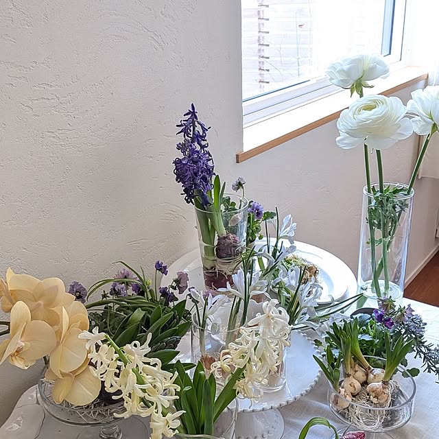 nolleyさんの部屋