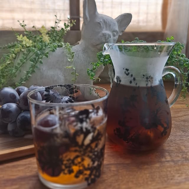 noaさんの部屋