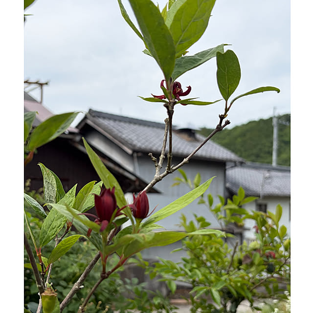 cotaさんの部屋