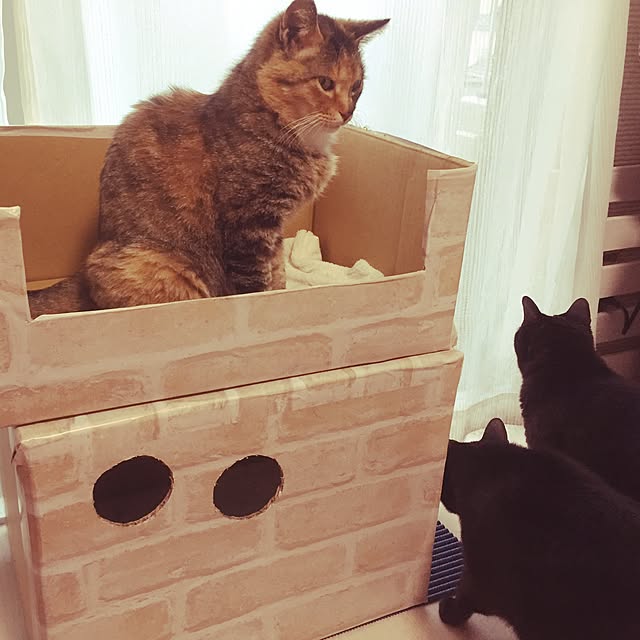 kaorinさんの実例写真