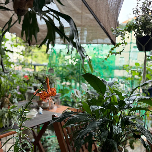 Aqettyさんの部屋