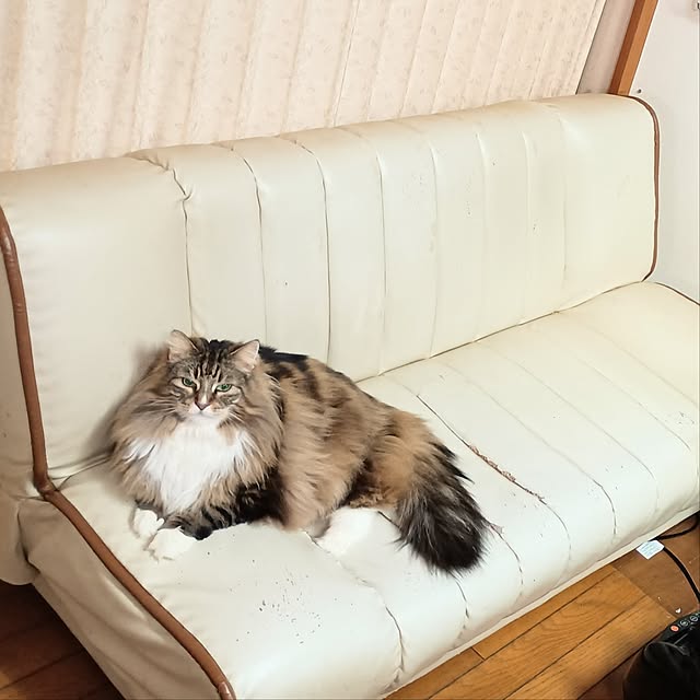 maruwataroさんの部屋