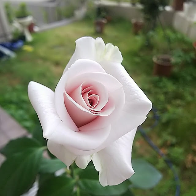 hiromimiさんの実例写真