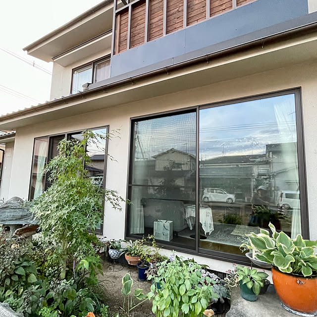 buchiさんの部屋