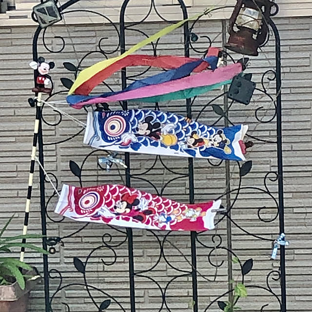 実例写真