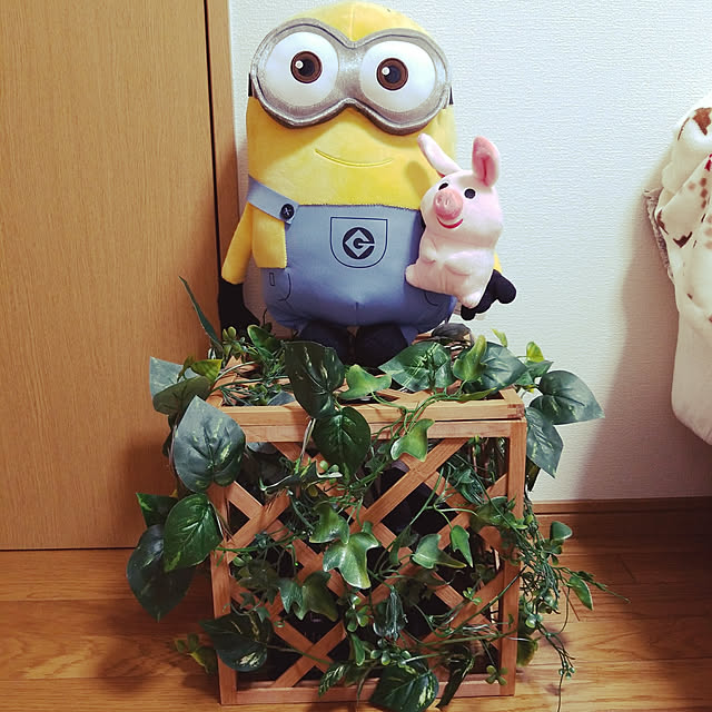 gachupinさんの実例写真
